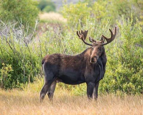 EXPLORE CITY Autunno a Montreal