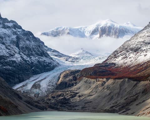 Loberías del Sur Especial Glaciares 