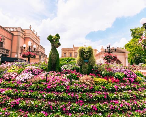  En combo: Universal - Epic Universe - Magic Kingdom