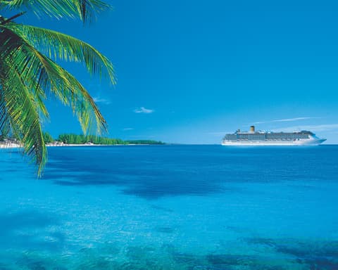 COSTA FASCINOSA