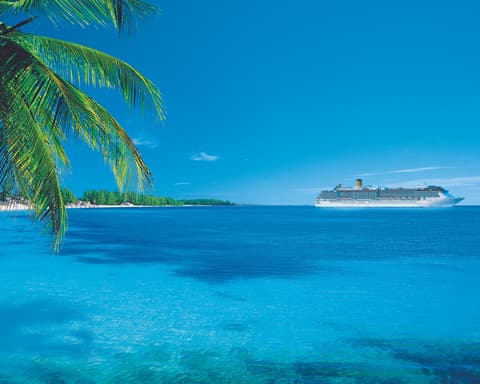 COSTA FASCINOSA