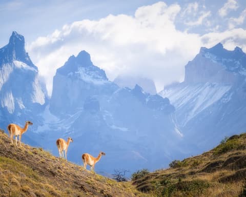 Bloqueo Full Day Torres del Paine Via Sky - Hotel Martin Gusinde