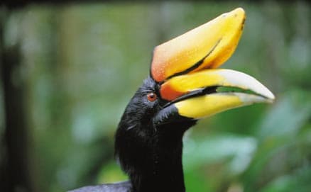 Kurztour "Jungle & The City"