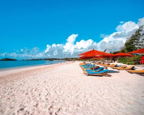 KENYA: SEACLUB 7 ISLANDS REOSRT 