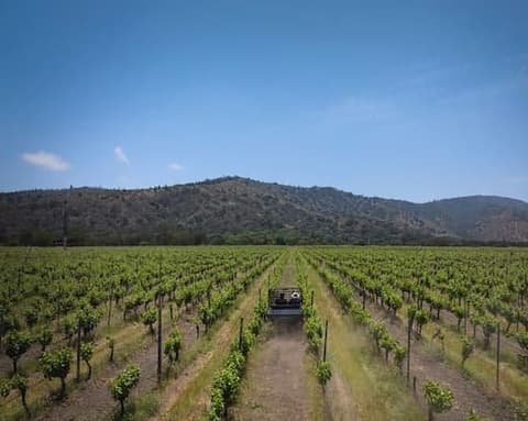 Vino, Naturaleza y Bienestar "Matetic Experience"