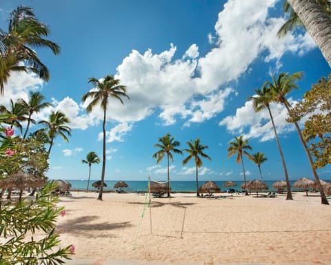 REPUBBLICA DOMINICANA: BRAVO VIVA DOMINICUS BEACH E PALACE 