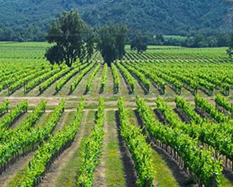 CL Pack Santiago Imperdible