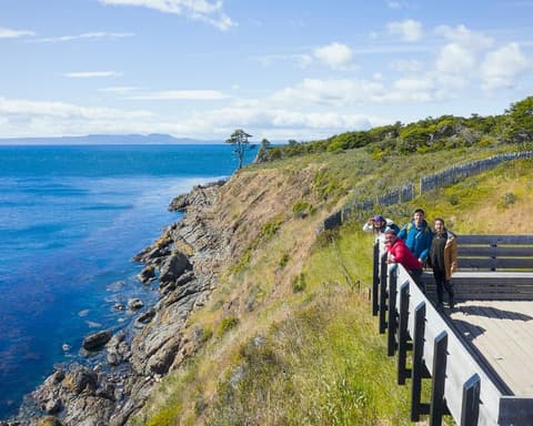 Hotel Almasur Punta Arenas - Excursión al Parque del Estrecho