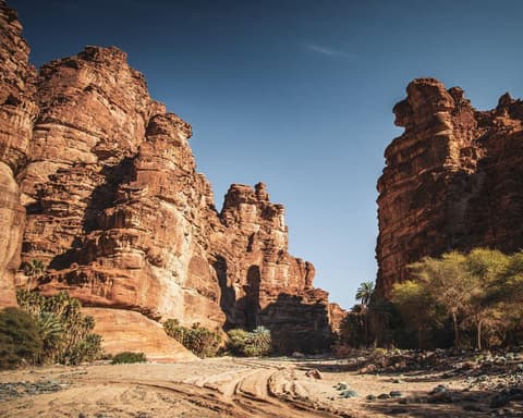 ARABIA SAUDITA ALULA & TABUK