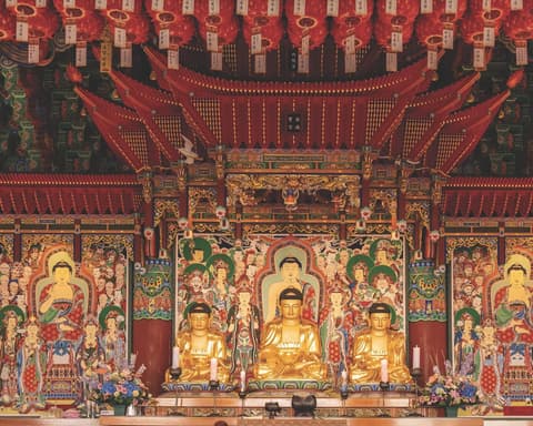 Japan and South Korea Expedition: Between Contrasts