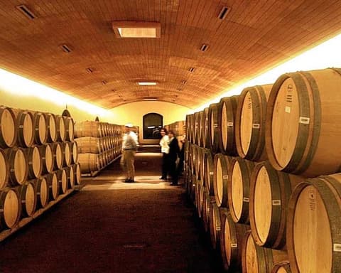 Excursión de medio día a los viñedos de Concha y Toro Marqués