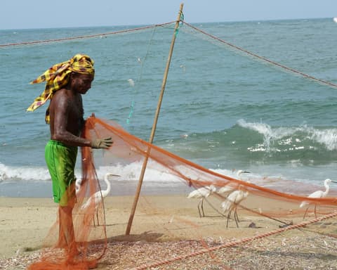 Sri Lanka: un viaggio tra natura, cultura e relax
