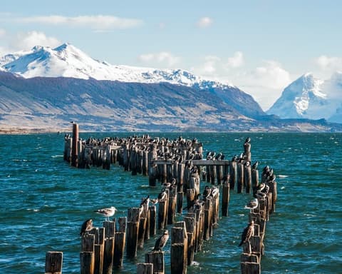 Bloqueo Verano Puerto Natales & FD Torres del Paine - Hotel Alberto de Agostini