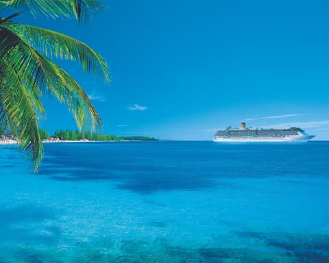 COSTA FASCINOSA