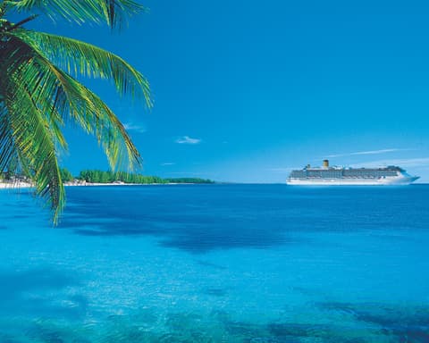 COSTA FASCINOSA