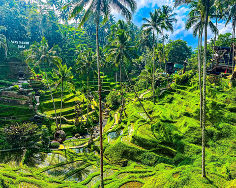 INDONESIA-Mangia, prega, ama