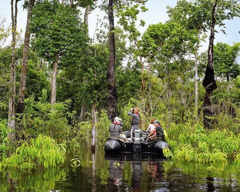 Expedición Amazonas: viaje al corazón verde