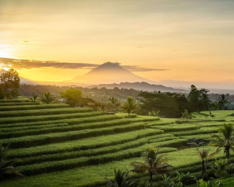 Bali Clasico 8 Dias 2027 / 2028 – foto 4