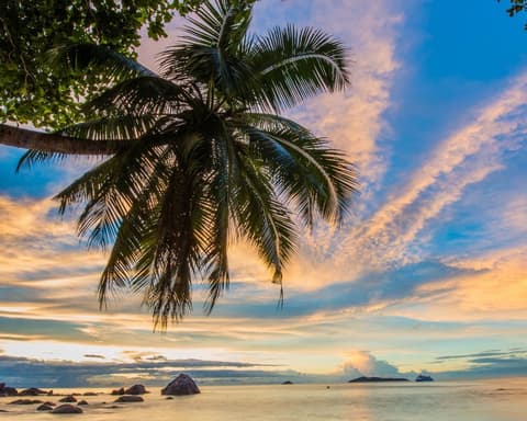 Seychelles Expedition: Exotic Nature and Perfect Climate