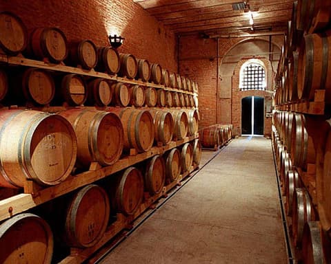 04D/03N Mendoza Posada y Vino
