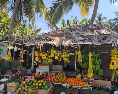 Discover the Magic of Khareef Season in Salalah 2025