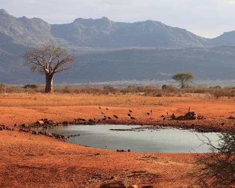 Severin Tsavo Safari