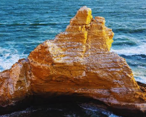 Getaway in Paracas 02 Days / 01 Night