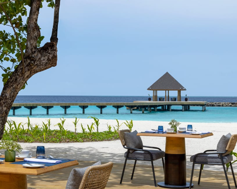 Avani+ Fares Maldives Resort - GATTINONI