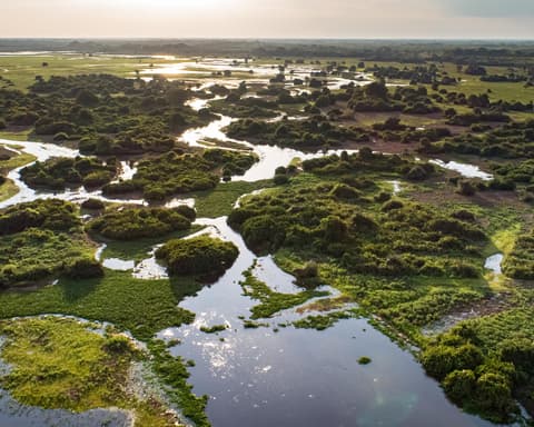 Brasil Puro: Rio de Janeiro & Pantanal Norte