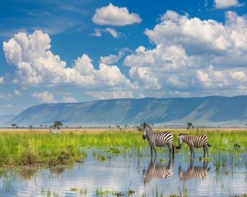 Luna de miel en Kenia y Tanzania