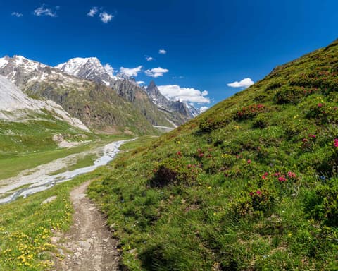 5 star stay in Courmayeur 