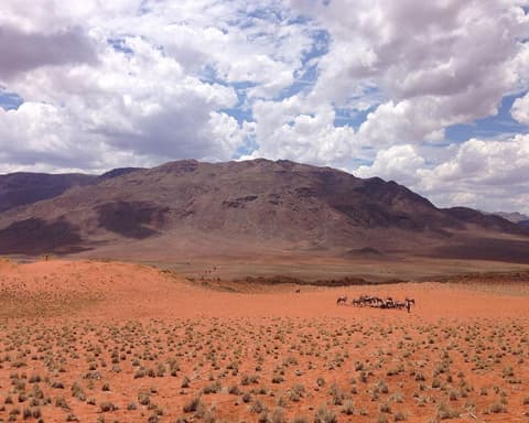 Desiertos de Namibia