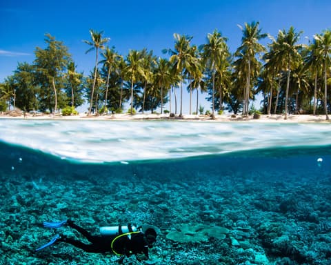 Ngonong / Three Gilis Tour (Incluye Almuerzo)