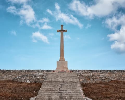 Majestic Princess: Patagonia y Fiordos 15 noches