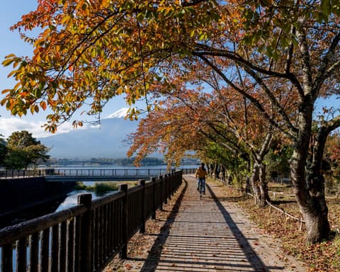 Beauties of Japan (2026) – foto 7
