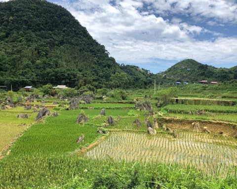 NORTE Y CENTRO DE VIETNAM - CAMBOYA 2026/2027