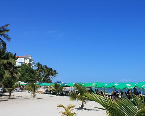 Navidad en el Paraíso Caribeño 31 de diciembre 2026