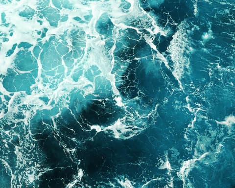 Formula 1 DUTCH Grand Prix 2026