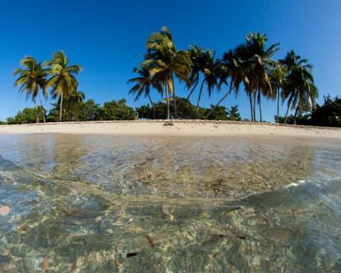 The Great Route of Cuba and Mexico (2027) – foto 3