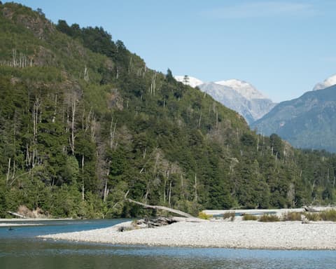 Hotel Mítico Puelo Lodge - Desconexión, naturaleza y tranquilidad