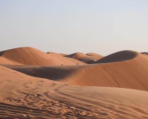 Desert And Coastal Safari (4WD)