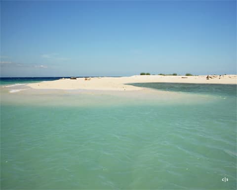 Les incontournables de Sulawesi