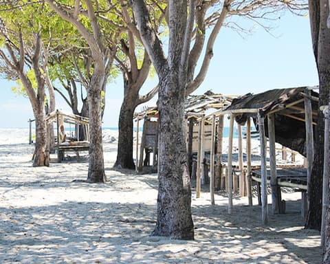 Les incontournables de Sulawesi