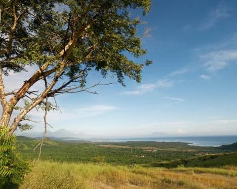 Terres sacrées et rizières balinaises