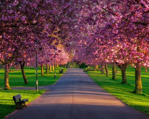À la découverte des mers écossaises