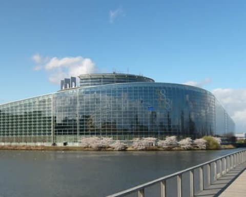 SELVA NEGRA, ALSACIA & ALEMANIA ROMANTICA 2026 