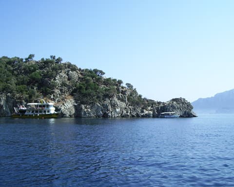 MSC DIVINA