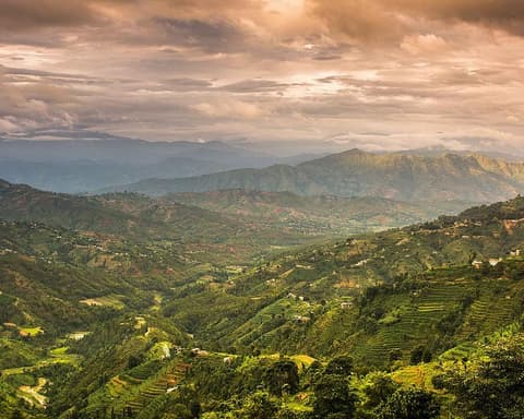 INDIA: Yoga y Mindfulness