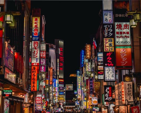 JAPÓN TRADICIONAL CVU