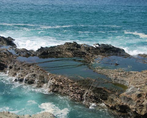 De Seattle a Los Ángeles en Harley-Davidson®